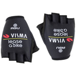 Agu Team Visma Lease Gloves to Bike 2024