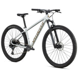 Specialized Rockhopper Expert 29 - Argento - P