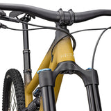 Specialized Status 170 2 - Oro
