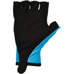 Biemme Astana Qazaqstan 2024 gloves