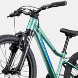 Cannondale Kids Trail 20 - Verde