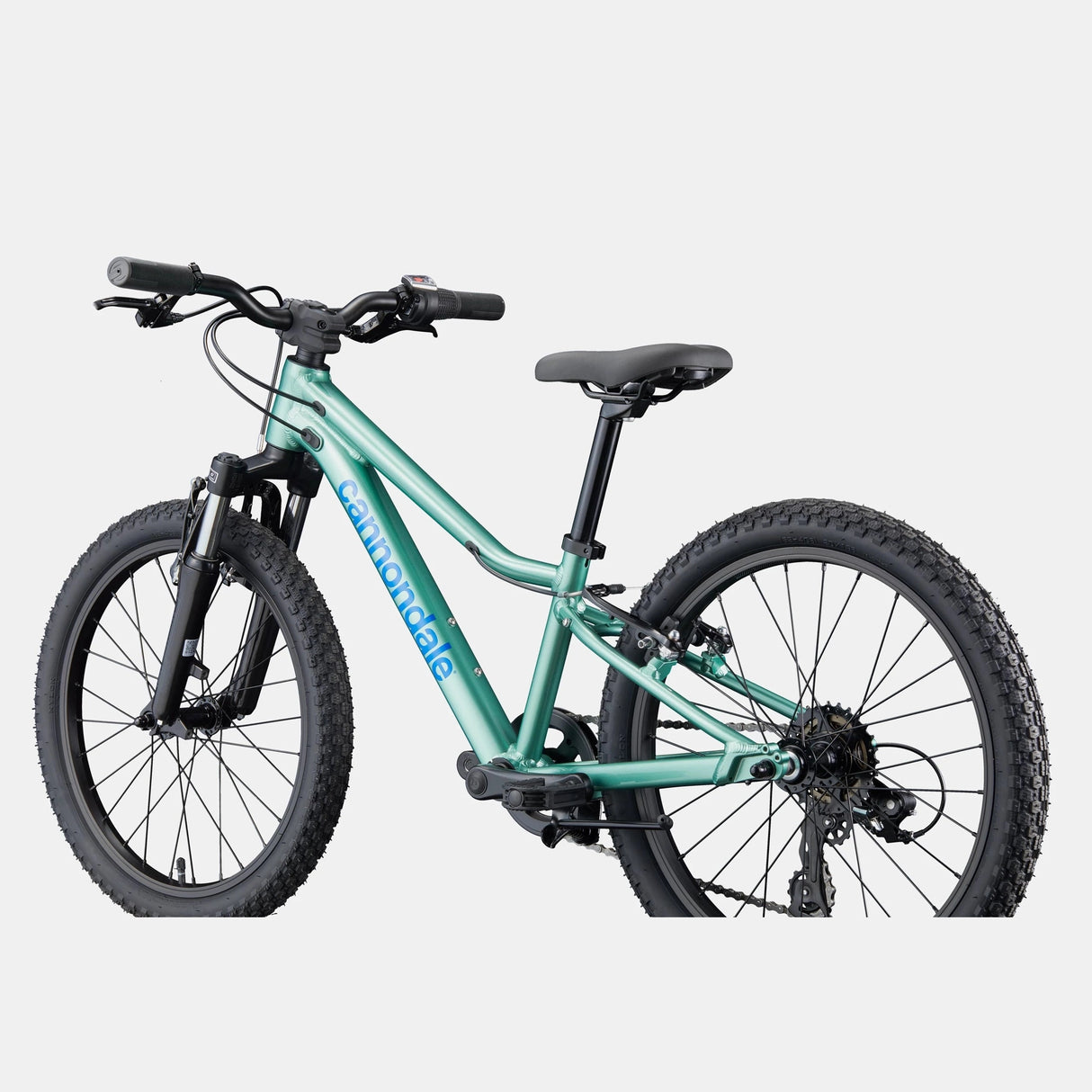 Cannondale Kids Trail 20 - Verde