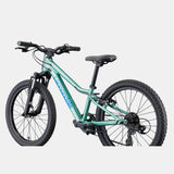 Cannondale Kids Trail 20 - Verde