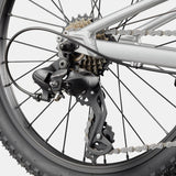 Cannondale Kids Trail 20 - Plata