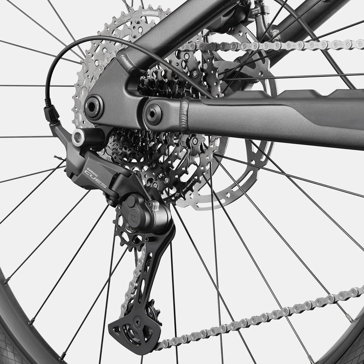 Cannondale Moterra 4 Plus - Grey dark