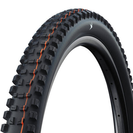 Copertone Schwalbe Romy Trail Pro Radial Soft TLR - 29x2.50 Schwalbe
