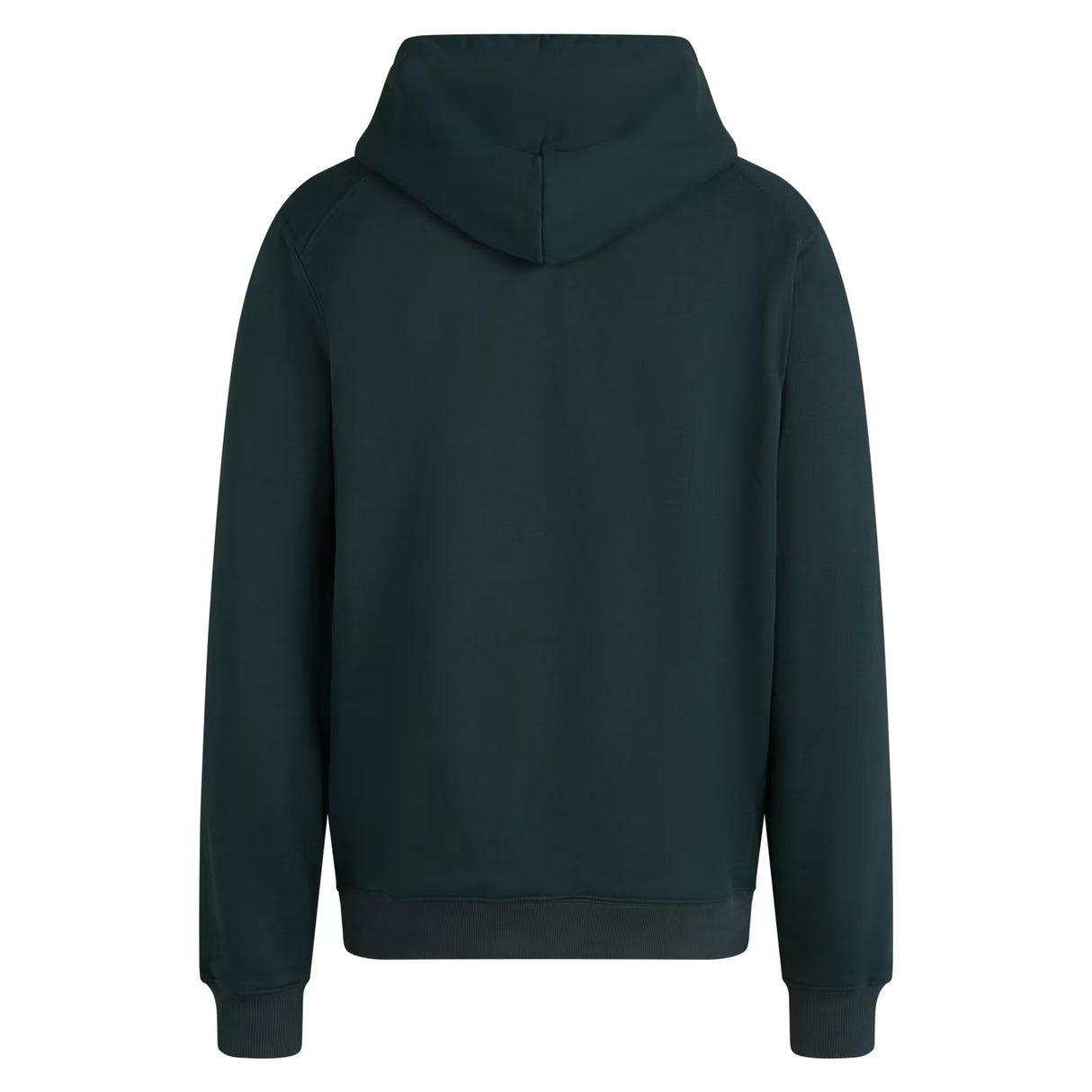 Felpa Rapha Heavyweight Cotton - Verde Rapha