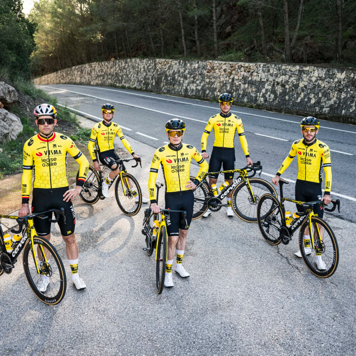 Giacca Team Visma Lease a bike 2025 - N