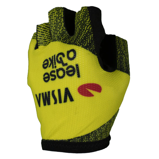 Team Visma Lease a Bike 2025 The Swarm gloves - Tdf