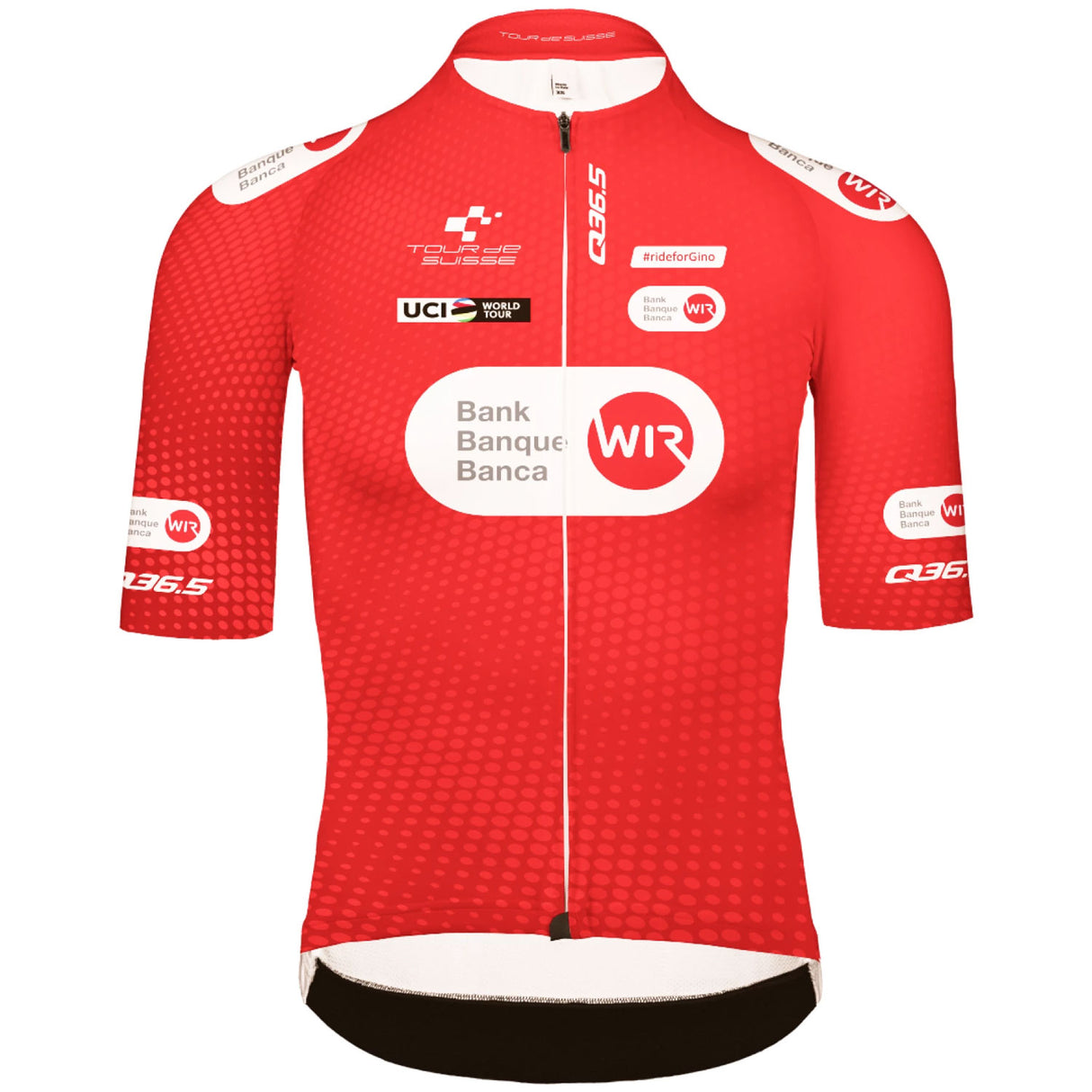 Maglia Q36.5 Tour de Suisse 2024 Gregarius Pro - Climber - C