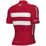 Ale Trikot Dänische Nationalmannschaft 2026 Prime