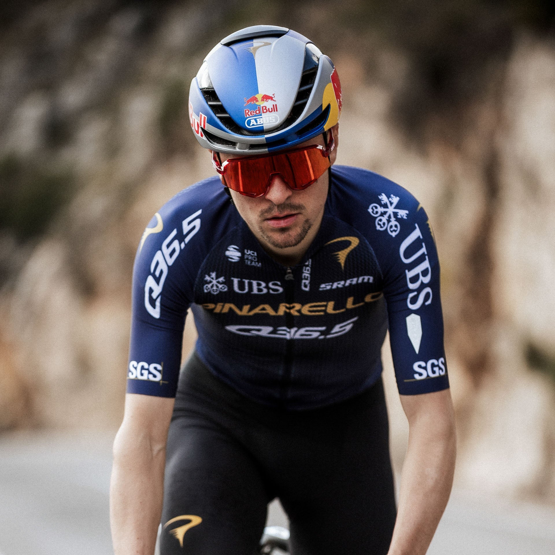 Jersey Pinarello-Q36.5 Pro Cycling Team 2026 Gregarius Clima