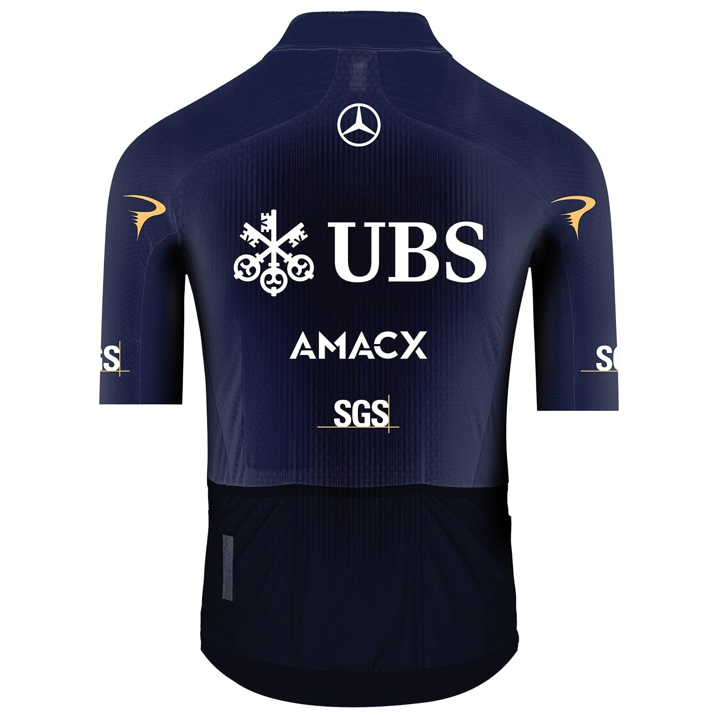 Jersey Pinarello-Q36.5 Pro Cycling Team 2026 Gregarius Clima