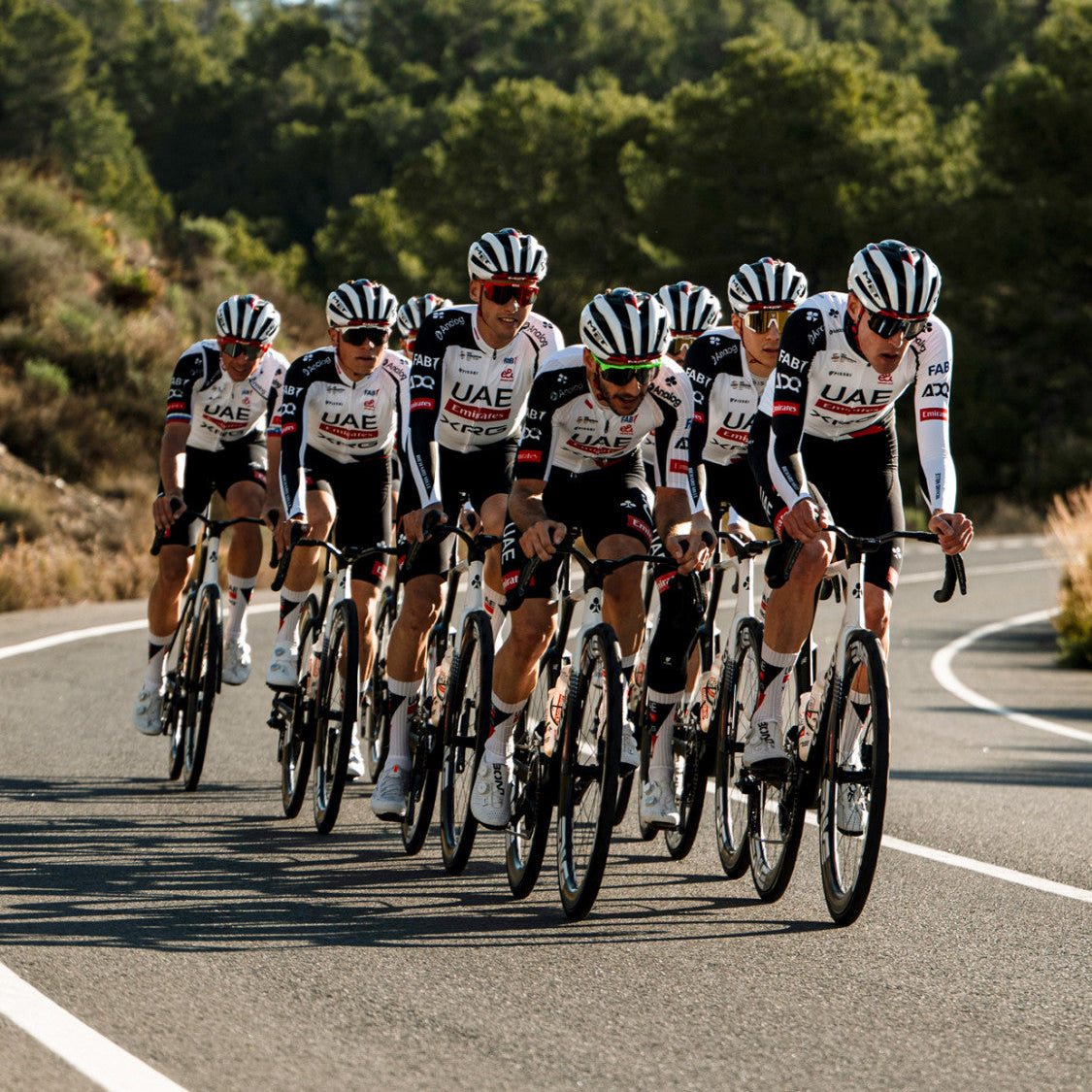 uae rennrad trikot Trikot Pissei UAE Team Emirates - XRG 2026