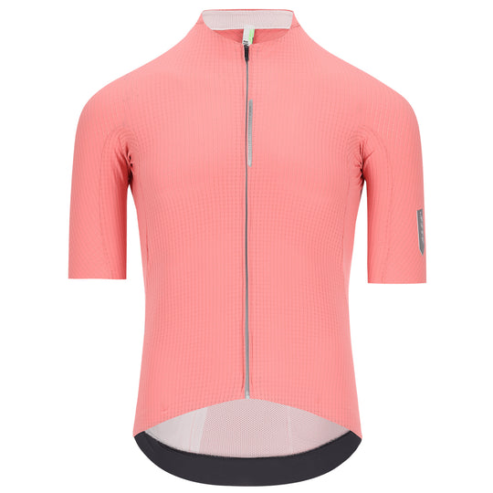 Q36.5 Dottore Pro jersey - Pink