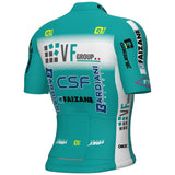 Maglia Ale VF Group - Bardiani CSF - Faizane 2025 - D