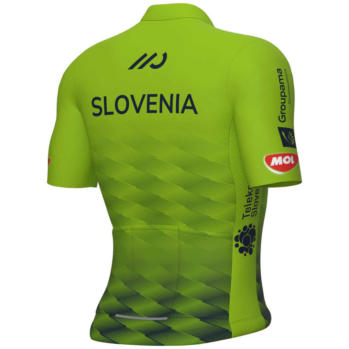 Maglia Ale Nazionale Slovenia 2025 - D