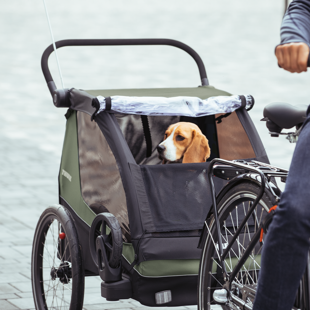 Rimorchio da bici Thule Courier - Verde Thule