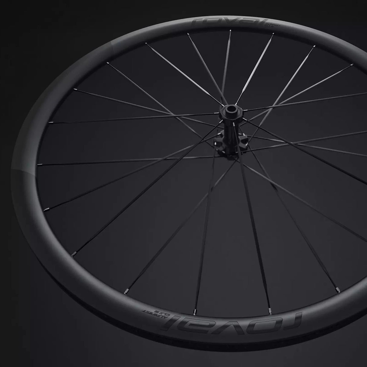 Ruota anteriore Roval Alpinist CLX 3 - Nero Roval