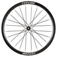 Ruota posteriore Roval Alpinist CLX 3 - Nero bianco