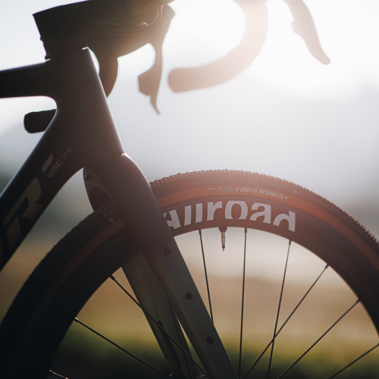 Ruote Mavic Allroad S Carbon - Nero Mavic