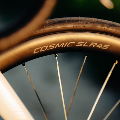 Ruote Mavic Cosmic SLR 45 Disc - Argento Mavic