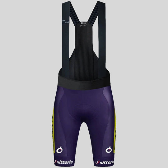 Gobik Wilier Vittoria 2025 Absolute Print K10 bibshort 