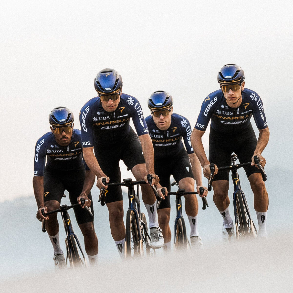 Culotte Pinarello-Q36.5 Pro Cycling Team 2026 Gregarius
