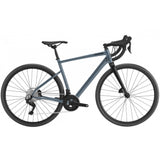 Cannondale Topstone 3 - Grigio scuro - N
