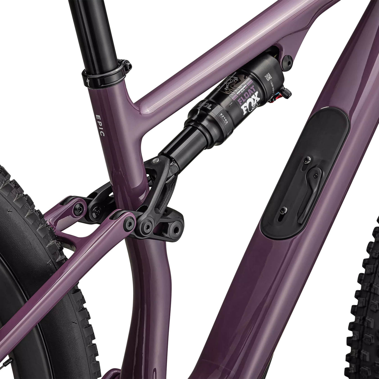 Specialized Epic 8 EVO Expert - Viola