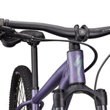 Specialized Rockhopper Comp - Viola Specialized