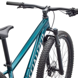 Specialized Rockhopper Expert 29 - Dark Green