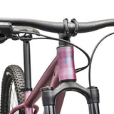 Specialized Rockhopper Expert 29 - Viola Specialized