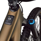 Specialized Turbo Levo 4 Expert - Marrone - C