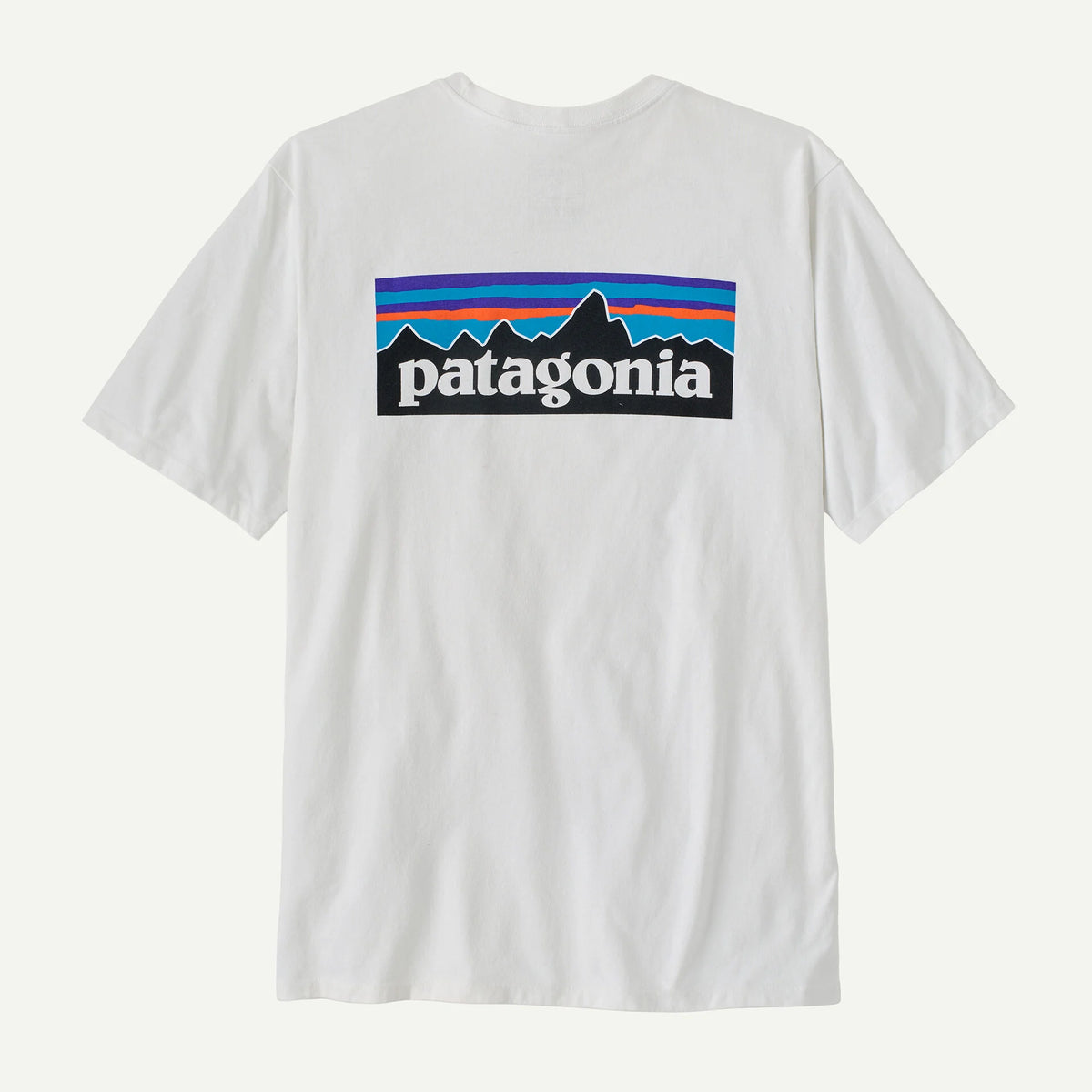 T-Shirt Patagonia P-6 Logo Responsibili-Tee - Bianco Patagonia