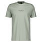 Camiseta Scott Typo - Gris