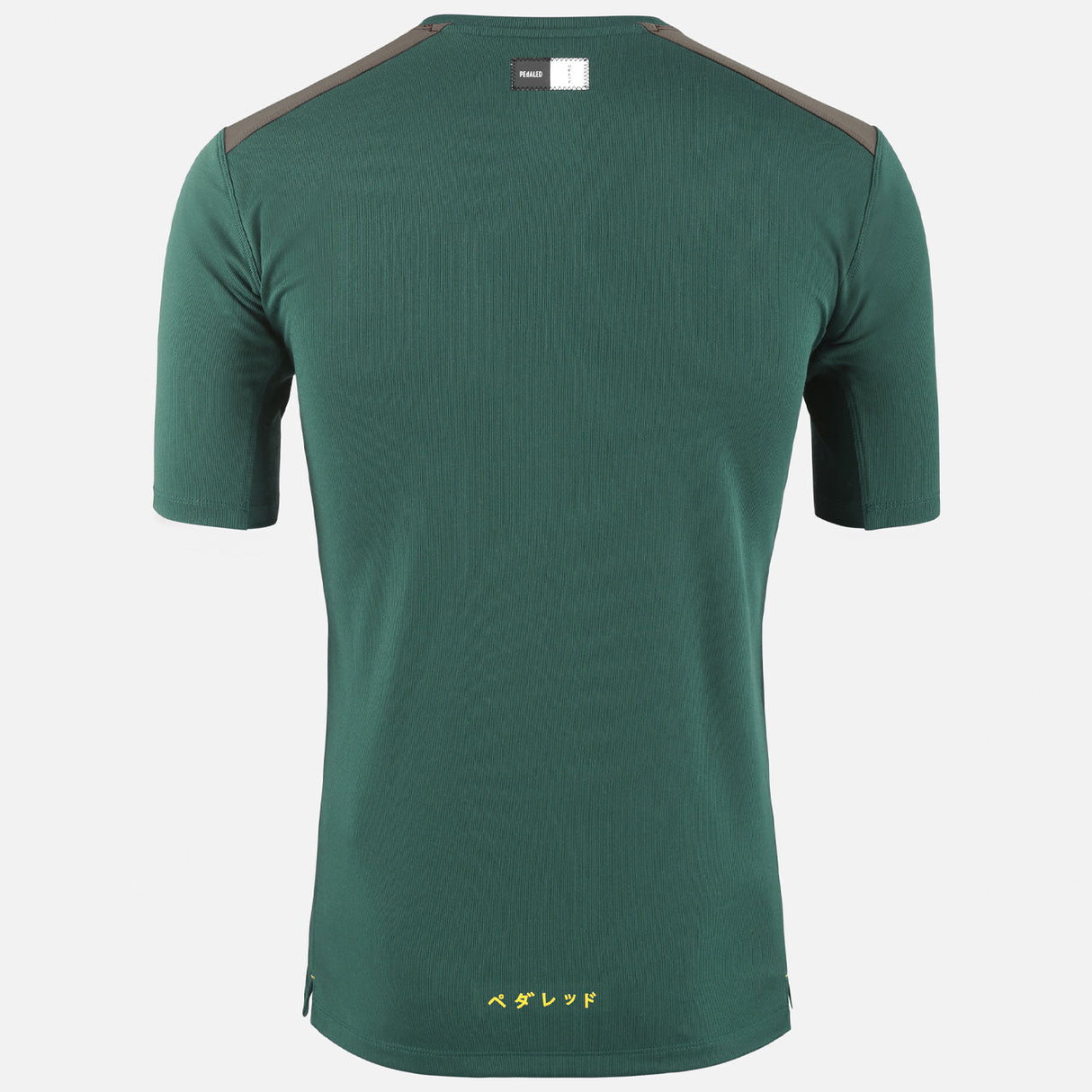 T-Shirt Pedaled Odyssey Merino - Verde - E