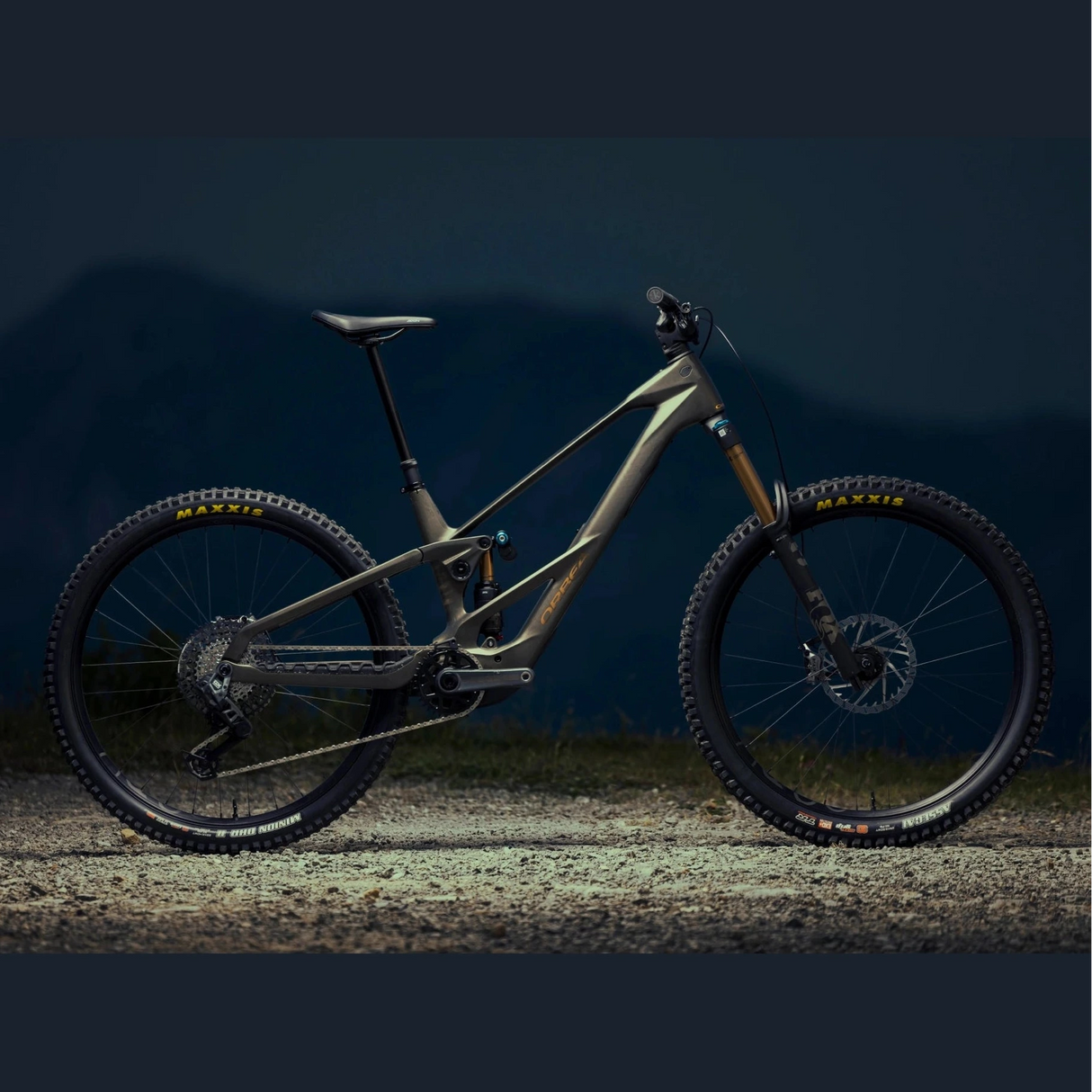 Orbea WILD LT M20 - Brown