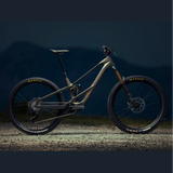 Orbea WILD LT M20 - Brown
