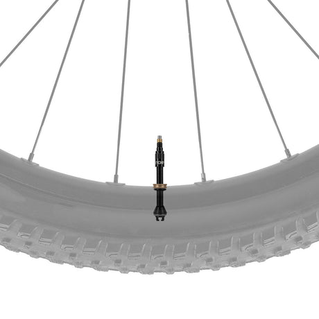 Kit de valves Topeak TurboFlow - 45 mm