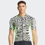 Maillot Adidas Essentials 3-Stripes Fast Zebra - Verde