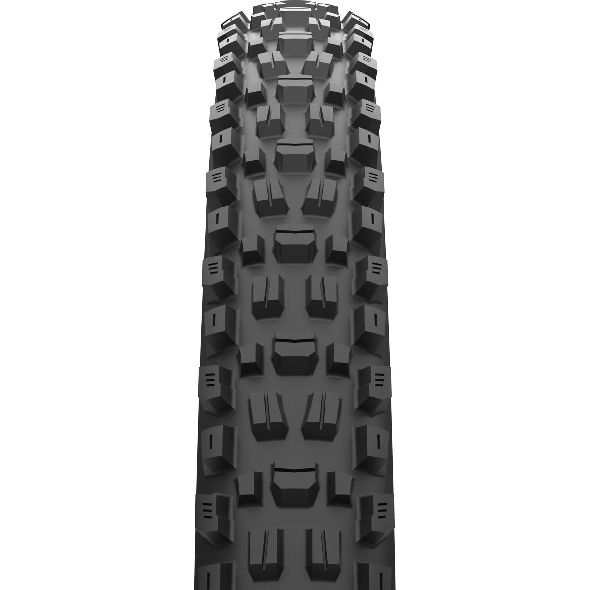 Copertone Maxxis Assegai MaxxTerra EXO+ TR - 29x2.60