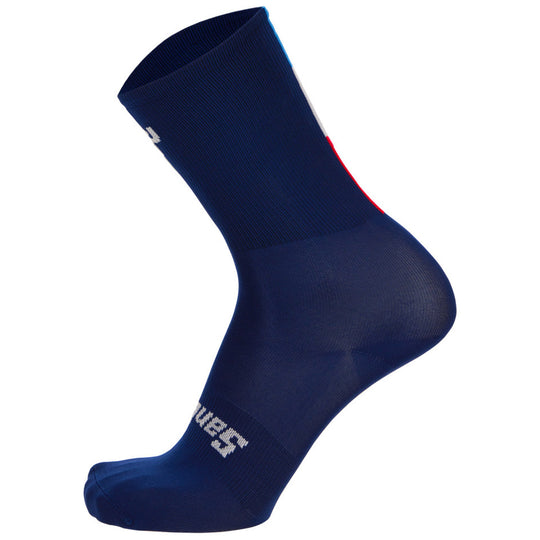 Chaussettes Santini Tour de France 2024 - Bonette