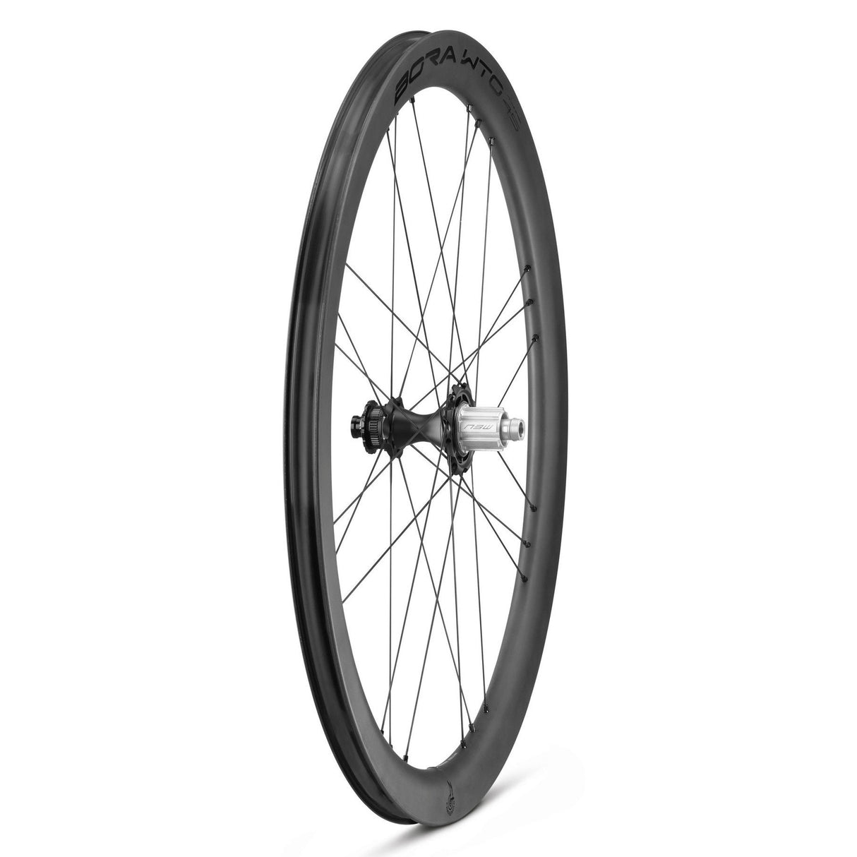 Ruote Campagnolo Bora WTO 45 DB 2wf c23 Matt - Nero opaco - D