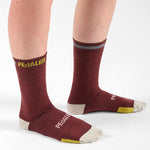 Pedaled Odyssey Merino socks - Bordeaux