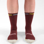 Calcetines Pedaled Odyssey Merino - Bordeaux