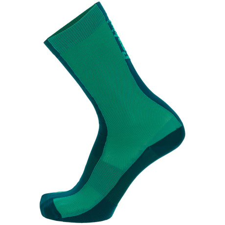 Calze Santini Puro - Verde - L