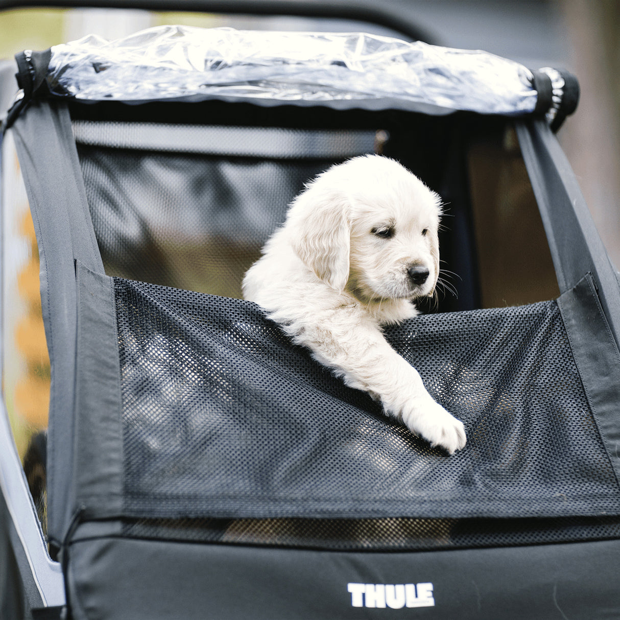 Thule Courier - Blu - F