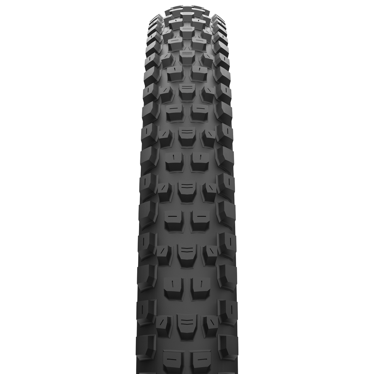 Cubierta Maxxis Dissector MaxxTErra DD TR - 29x2.40