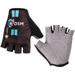 Team DSM 2023 gloves